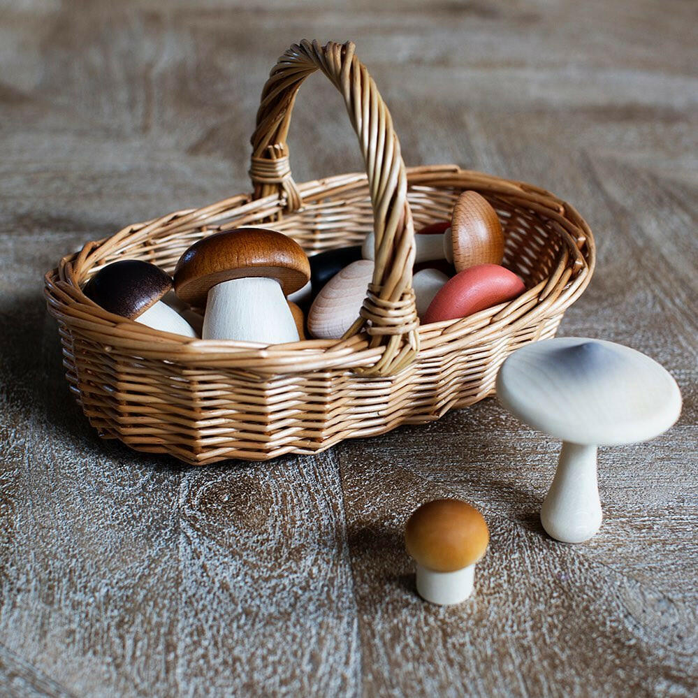 Forest Mushrooms in a Box