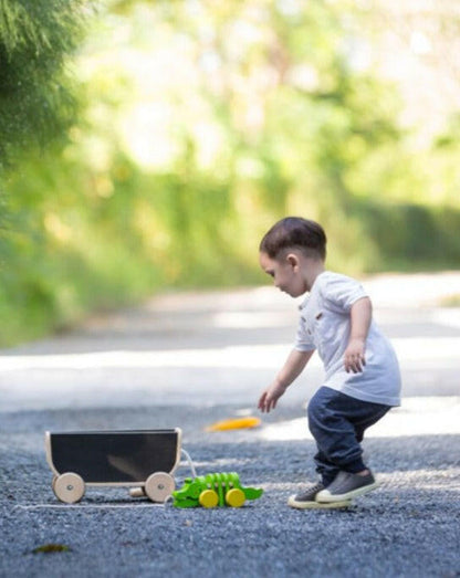 Wagon - Black