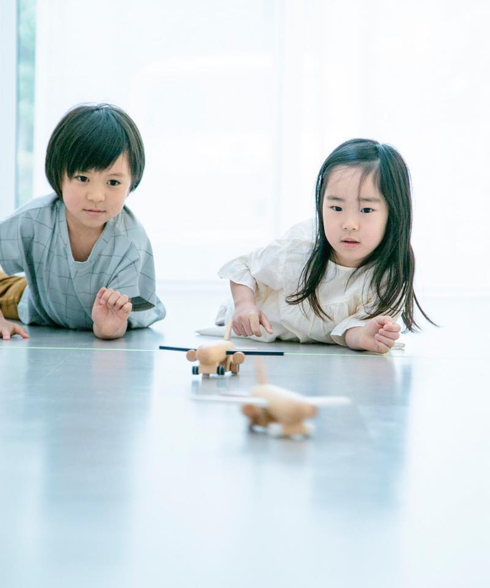 Wooden Hikoki Wind-Up Jet