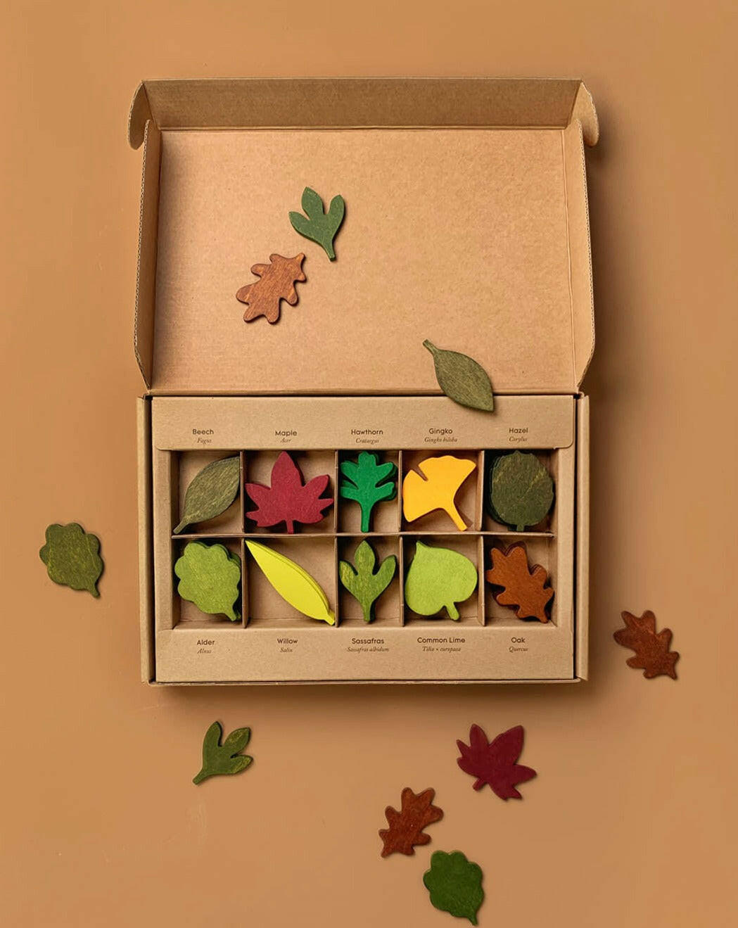 Woodland Leaves
