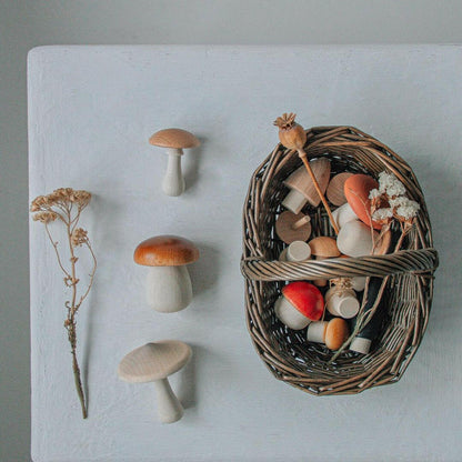Forest Mushrooms in a Box