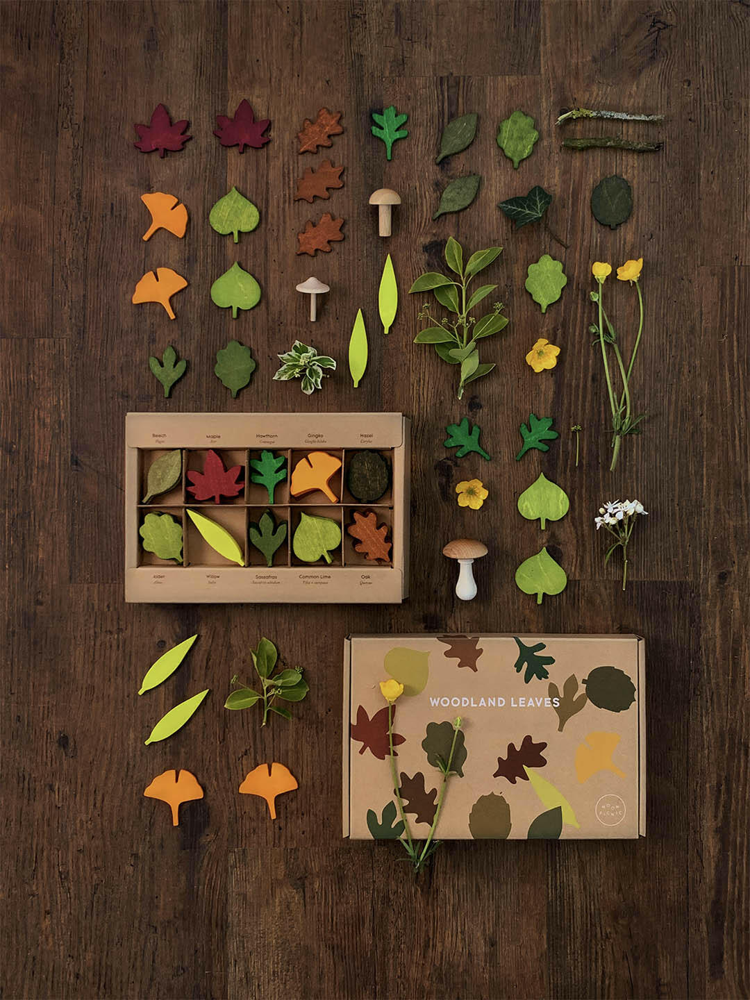Woodland Leaves