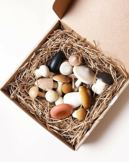 Forest Mushrooms in a Box