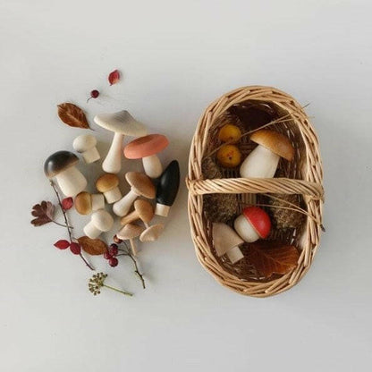 Forest Mushrooms in a Box